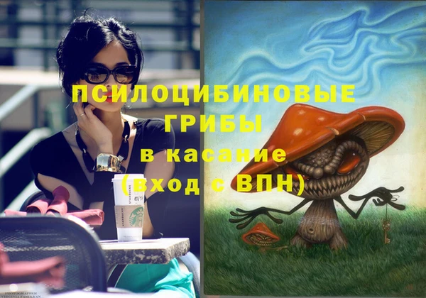 соль ск Касимов