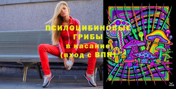 прущие грибы Карпинск