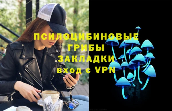 соль ск Касимов