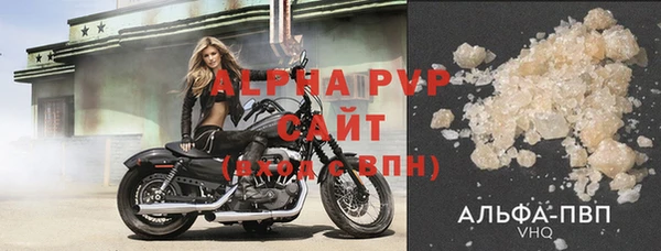 прущие грибы Карпинск