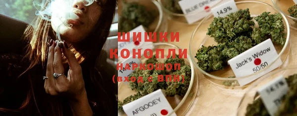 прущие грибы Карпинск