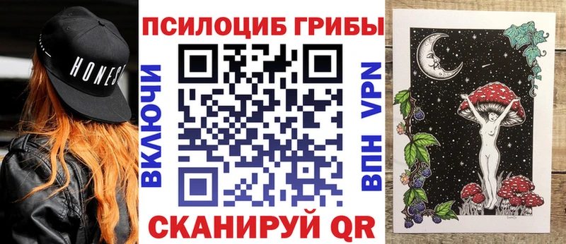 Купить закладки  Балашов  Псилоцибиновые грибы MAGIC MUSHROOMS 