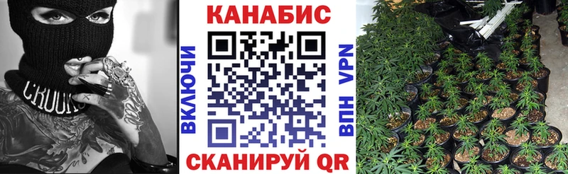 Марихуана Bruce Banner  Купить где  Балашов 